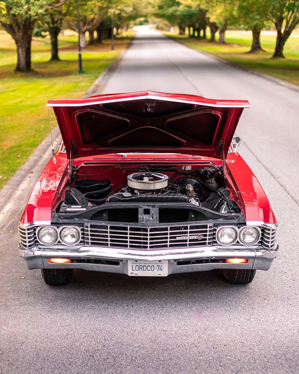 1967 Chevrolet Impala - Photo by Zack Poole 1967 Chevrolet Impala - Photo by Zack Poole